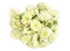 Pachnące wysuszone płatki kwiatów i pąki obejmują 9 rodzajów kwiatów288m