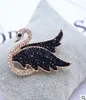 European version andf0r women's American black swan brooch accessories scarf buckle rose corsage