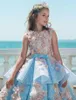 2018 lyxiga tjejer pageant klänning med peplum juvel nacke boll kappa himmel blå spets rosa 3d blommiga applikationer födelsedag tjejer prinsessor klänningar