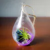 Teardrop Glass Hanging Plant Terrarium Clear Glass balls Container Glass Candle Holder for Home Decoration Wedding Decoration