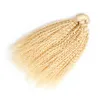 Blond brésilien crépus bouclés vierges armure de cheveux humains Bundles 200G 2PCS blonds brésiliens bouclés vierges armure de cheveux