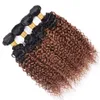 Kinky Curly 1B30 HUND HAIR WEAVE 컬러 Malaysian Brazilian Peruvian Virgin Human Hair Bundles Ombre Auburn 4pcsl7537467