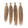 # 27/613 Tecelagem Do Cabelo Peruano Cor Humana Tecelagem 4 Pcs Extensões de Trama Encaracolado Kinky Destaque Cor Misturada de Piano Virgem Do Cabelo Humano Weave Bundles