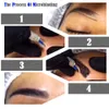 Microblading Eyebrow Tattoo Set Beauty Girl Professional 3D Permanent Eyebrow Practice Kit Microbladings Pen1493245