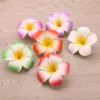 Whole 3 5 Inch Hawaiian Plumeria Flower Hair Clip Foam Hair Accessory Decoration 12Pcs lot 207H