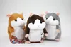 Hamster Soft Plush Toy Talk Sound Record Repeat Stuffed Birthday For Children Kids Selling Japan