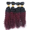 Kinky Curly 4 Bundles T 1B 99J Ombre Dark Wine Red Two Tone Color Economici Capelli vergini brasiliani Tessuto 4 Bundles Extension