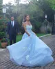 Elegant Women Formal Evening Dresses With 3D-Floral Appliques Beaded Illusion Back Sky Blue Tulle Plus Size Occasion Dresses Prom Gowns