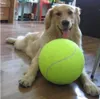 كرة تنس عملاقة 24 سم للحيوانات الأليفة مضغ لعبة كبيرة قابلة للنفخ توقيع Mega Jumbo Pet Toy Ball Supplies Cricket في الهواء الطلق