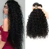 처리되지 않은 변태 곱슬 머리카락 100g / pcs 여자를위한 곱슬 머리 확장 머리카락 최고의 품질 브라질 페루 말레이시아 몽골어 머리카락 번들
