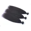 Brazilian Kinky Straight 100 Unprocessed Human Virgin Hair Weaves Remy Human Hair Extensions Human Hair Weaves Dyeable 3 bundles5628875