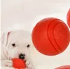 Hoopet Dog Игрушка Резиновые шарика Устойчивы укусом Собаки щенок Teddy Pitbull Pet Sace