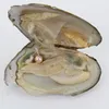 Оптовые 2020 Природные Akoya 6-7мм Смешать Цвета пресной воды Круглый Pearl Oyster для DIY Making ожерелье Bracele серьги кольцо ювелирных изделий A-1013