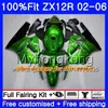 Injectie voor Kawasaki ZX1200 ZX 12R 2002 2003 2004 2005 2006 224hm.29 ZX-12R 12 R 1200CC ZX12R 02 03 04 05 06 Glanzend Groene Kuiken