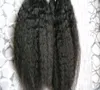 Kinky Straigh Micro Ring Hair Extensions 1g / Strand 200g Micro Loop Extensions Grova Yaki Mänskliga hår Mikroslänk Mänskliga hårförlängningar