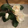 5 sztuk / partia Sztuczny Jedwab Magnolia Kwiat Zielony Liść Winorośl Dom Party Wesele Dining Hotel DIY Craft Dekoracja Kwiat