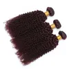 Bästa Peruanska Virgin Burgundy Human Hair Bundles Kinky Curly Hair Weave Extensions Pure 99J Vin Röd Virgin Human Hair Weaving Curly 3pcs