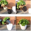 1pc Storstorlek Automatisk vattenabsorberande blomkrukor Bonsai Multi-Meat Plant Hydroponic Potted Stora Plastblomsterkrukor