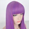 Kid child size wigs Descendants 2 Mal cosplay long purple hair Halloween wig