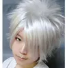Silver White Short Straight Fluffy Women Lady Cosplay Anime Hair Wig Wigs +Cap