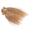 Honey Blonde Kinky Curly Hair Extension # 27 Jordgubb Blondin Afro Kinky Human Hair Weaves 3pcs / Lot Fast Shipping