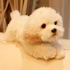 Quality Realistic Pet Animals Plush Toy Mini Pomeranian Maltese dog Shiba Inu Doll for Kids Girl Gift Decoration DY506599415392