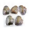 Neu angekommen 6-7mm Perle Natural Austern Oval Runde Perle Geschenk DIY Perle für Pedant Halsketten Dekorationen Vakuumverpackung