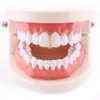 Fábrica inferior dentes grillz conjunto hip hop bling dental grills cz gelado para fora do dente boné jóias do corpo eua dentes inteiros access4666343