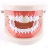 Werksbodenzähne Grillz Set Hip Hop Bling Dental Grills CZ ICED Zahnkappe Körper Schmuck US -ganze Männer Zähne Zugang6326242