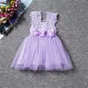 New Baby Girls Party Lace Tulle Flower Gown Fancy Damigella d'onore Dress Sundress Girls Dress Little Girl Princess Tutu Gown