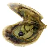 Atacado akoya shell pérola ostra água do mar ostra, pérola é redonda 6-7mmAAAAA grau (sem defeito) # 6 pérola negra (frete grátis)