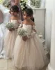 Robes de filles de fleur mignonnes à manches longues pour les mariages col transparent dentelle tulle longueur de plancher robe de bal princesse enfants robes de fête d'anniversaire