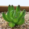 Grossist 32 mönster konstgjorda succulents bröllop dekoration centerpieces heminredning pvc konstgjorda växter äkta beröring falsk blomma vägg