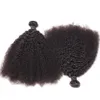 Brasileiro Afro Kinky Curly 100 Humanos humanos não processados Virgem Tecida Remy Extensões de cabelo humano