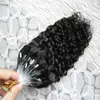 7A Micro Loop Human Hair Brasilian Extensions 100g Virgin Curly Chinese Hair Black Micro Loop Hair Extensions Deep Curly3641968