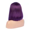 Purple Lace Wig Human Hair Natural Hairline Glueless Full Lace Human Silk Straight Front Lace Wigs Hair Wigs Purple For Fashion Women