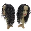 kinky natural wigs for black women