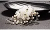 Bridal Hair Combs for Bride Pearls Crystal Bridal Hairbands Wedding Veil Dress Comb Bridal Headpieces Silk Flower Headdress Hair A2978