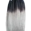 Micro Loop Ombre Zilver Grijs Hair Extensions 100G 1G / Stand Micro Hair Extensions Rechte Micro Link Menselijk Hair Extensions