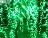 حررت سفينة LED شجرة الصفصاف ضوء 960pcs المصابيح لمبات 1.8M / 6FT اللون الأخضر المعطف في الهواء الطلق عطلة عيد الميلاد حديقة المنزل ديكو