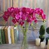 Silk Single Stem Orchid 78cm/30.71" Length Artificial Flowers Mini Phalaenopsis Butterfly Orchids Pink/Cream/Fuchsia/Blue/Green Color