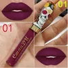 CmaaDu Magic Multicolor Non-stick Matt Metall Pearl Gloss Lip Gloss Sexig Vattentät Liquid Velvet Lip Gloss DHL Gratis frakt