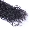 Ricciolo brasiliano ad onda d'acqua 100 capelli umani vergini non trattati intrecciati Estensioni dei capelli umani Remy Tessiture di capelli umani tingibili 3 pacchi6308643