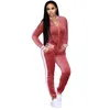 Large Size Women Sport Wear Stand Collar Tracksuits Sexy Women Casual Suit Zipper Pullover With Pant Jogging 2pc Set