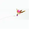 Charmer Cat Wand Pet Steel Feather Funny Cat Toy Interactive Training Toy Fishing Fishing Pet Supplies DC3298221078