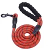 Nylon Pet Dog Lead Puppy Walking Runklar Rope Rope Trap