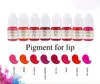 Professionele microblading pigment 8ml voor permanente make-up tattoo inkt 3D cosmetische verf veel kleuren voor wenkbrauw lip eyeliner tattoo levert