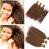 Kinky Curly # 6 Médio Marrom Brasileiro Virgem Do Cabelo 3 Ofertas Bundle com 4x4 Fechamento Rendas Feixes de Tecer Cabelo Humano Castanho Colorido com Fecho