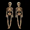 Simpatico scheletro di teschio mobile horror da 40 cm Puntelli di Halloween Bomboniere malvagie vigilia di Halloween Decorazione spaventosa di Halloween