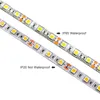 LED strip 5050 SMD 12V flexible light 60LED/m,5m waterproof LED strips 300LED,White,White warm,Blue,Green,Red,Yellow